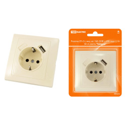 Розетка 2П+З с защ. шт. 16А 250В + USB порт 2,1А 5В сл. кость