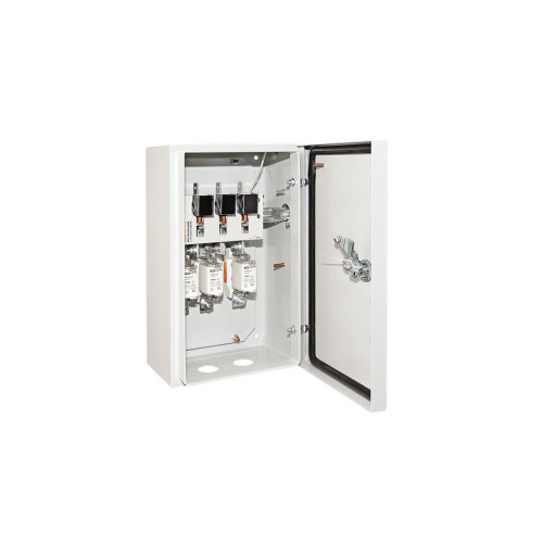 Ящик с рубильником и предохранителями ЯРП-250А IP54 (с ППНН) TDM