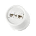 Розетка телефонная RJ11 + компьютерная RJ45 белая «Болонь» TDM