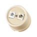 Розетка телефонная RJ11 + компьютерная RJ45 сл. кость «Болонь» TDM