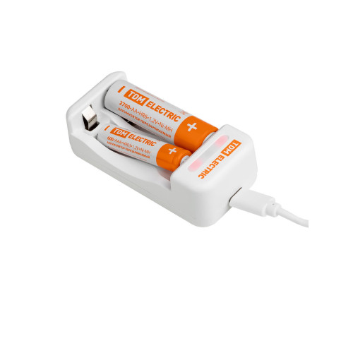 Зарядное устройство 2022 (200 mA 2 слота АА/ААА 2 кан.USB) TDM