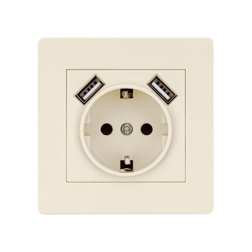 Розетка 2П+З 16А 250В + 2 USB порта 2,1А 5В сл. кость 